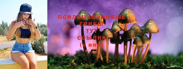 ECSTASY Нязепетровск