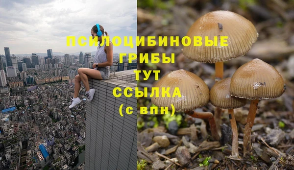 ECSTASY Нязепетровск