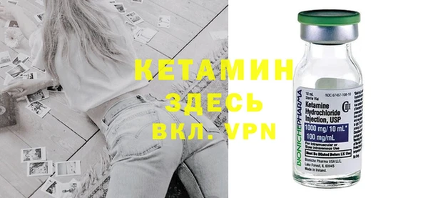 трава Няндома