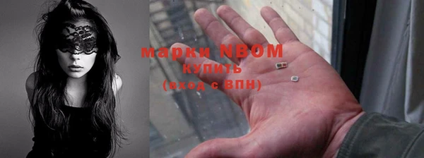трава Няндома