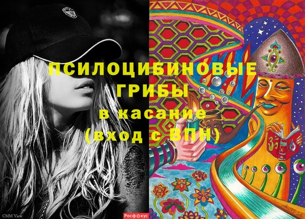 тгк Гвардейск