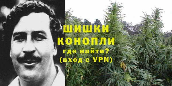 ECSTASY Нязепетровск
