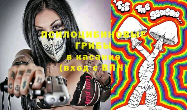 тгк Абаза