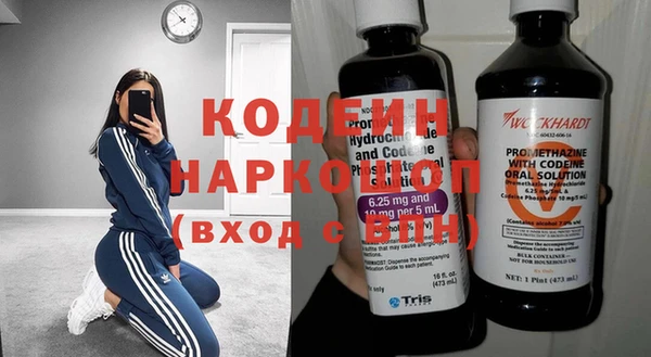 трава Няндома