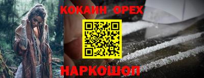 сатива Абакан