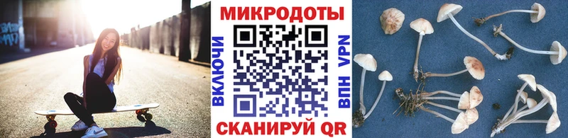 Галлюциногенные грибы Magic Shrooms Семилуки