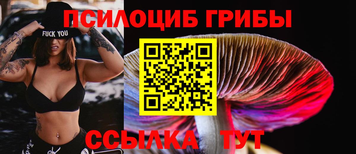Псилоцибиновые грибы прущие грибы Семилуки